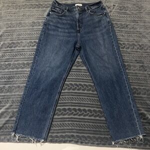 LOFT Jeans"The Curvy 90's Straight" Women's Size: 30/10 High Waist Blue Denim